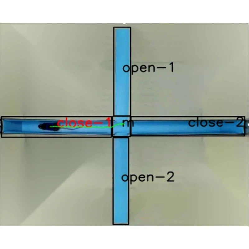 Las 10 mejores fábricas de laberintos elevados del mundo